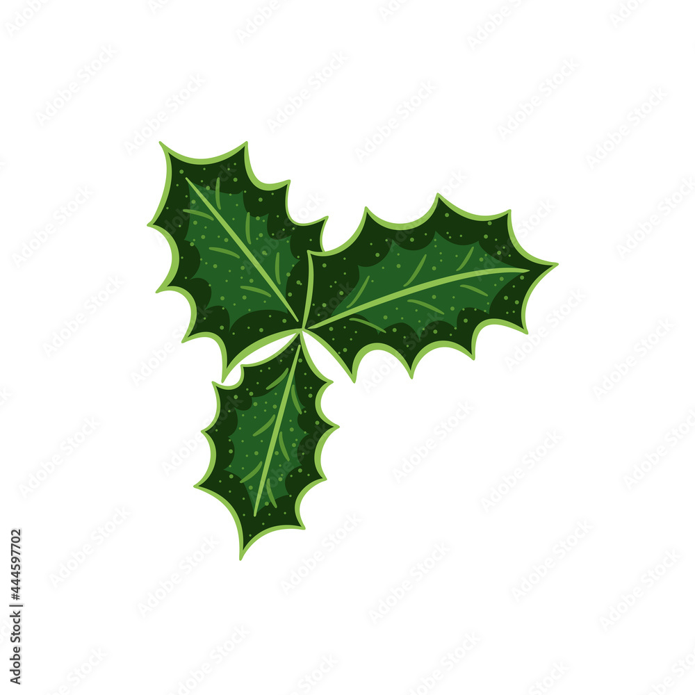 Fototapeta premium holly leaves, berries, set color2 dd ww
