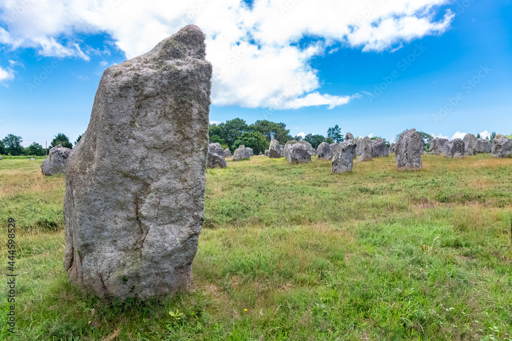 Carnac in Brittany, stones field, alignment of menhirs
