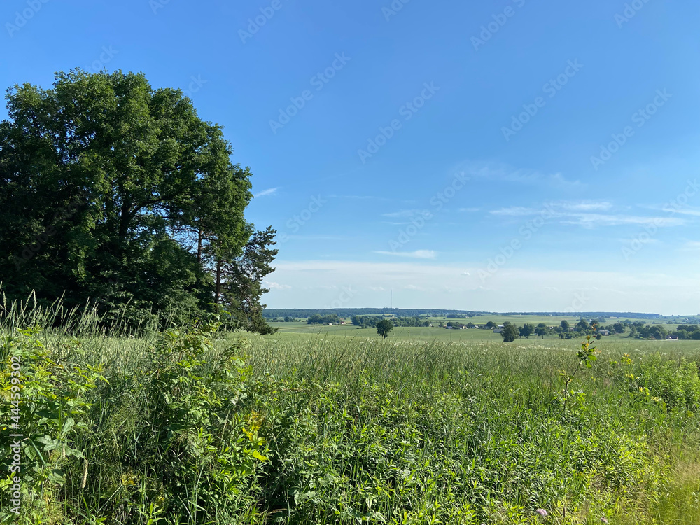 Obraz premium Afternoon Field Road Trip