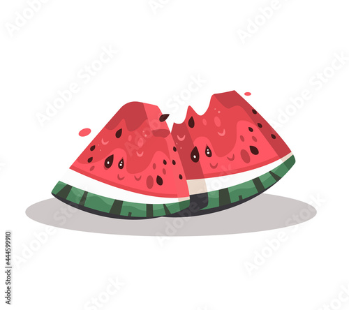 Juicy slices of watermelon. Bright vector illustration