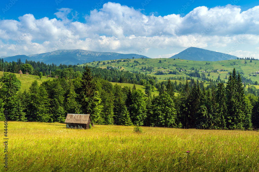 Summer mountainous rural landscape view with a old house and spruce Carpathian Ukraine Summer mountainous rural landscape view with a old house and spruce Carpathian Ukraine