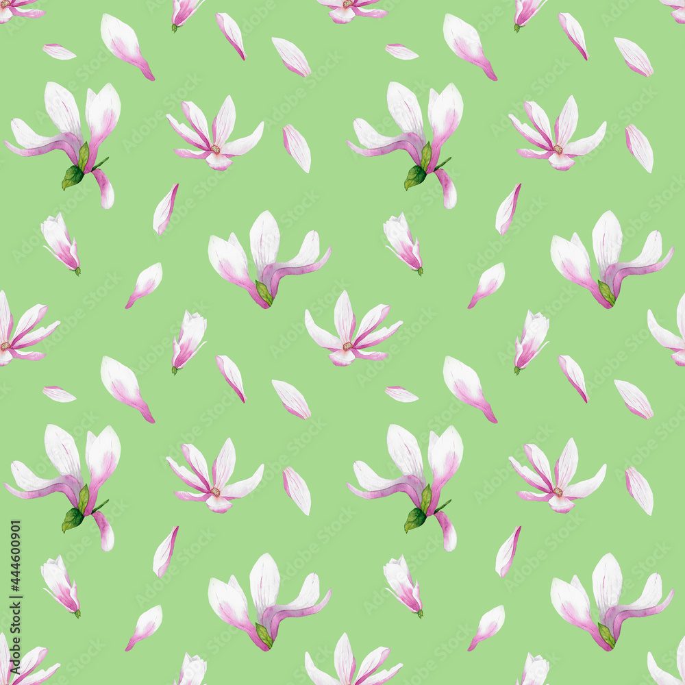 Magnolia flowers pattern on pastel green background