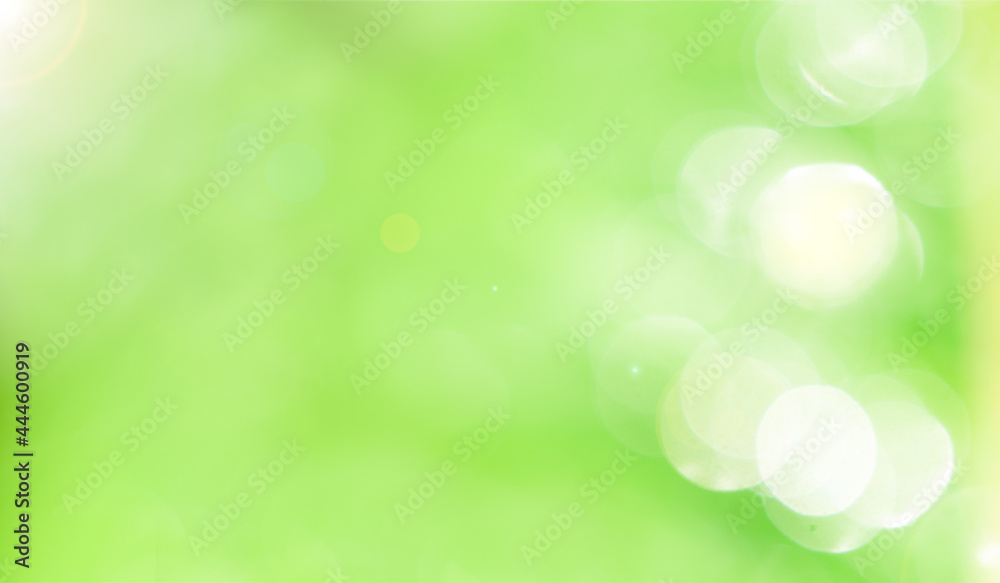 Sunny abstract green nature background, defocus Sunny abstract green nature background, defocus