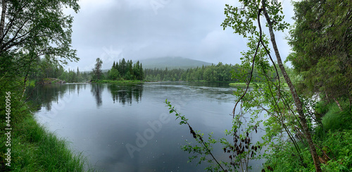 Dawn on the lake. Smooth water surfacePanoramic view of the calm lake  the surface of the water as a mirror. without ripples. no wind. All banks are overgrown with forest. idyll. Morning for fishing.