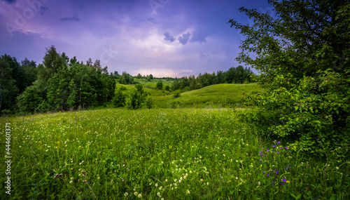 A summer landscape with wildflowers blooming on the slope of a ravine and a stormy sky