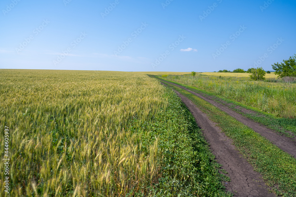 Rural winding road extending beyond the horizon. Fresh spring grass in the fields and meadows on a sunny day. Beautiful landscape. Rural winding road extending beyond the horizon. Fresh spring grass in the fields and meadows on a sunny day. Beautiful landscape.