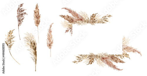 Pampas grass set painted with watercolor. Boho  neutral colors border. Dried grass illustration isolated on white. Bohemian style wedding invitation, greeting, card, postcard, stickers