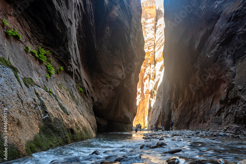 Hikers and trekkers in The Narrows trail on The Virgin River in Zion National Park in Utah, United States