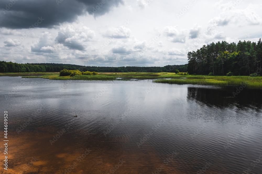 View at Echo Lake in Zwierzyniec, Roztocze, Poland. Beautiful lake surrounded by forest and fields on a cloudy day.