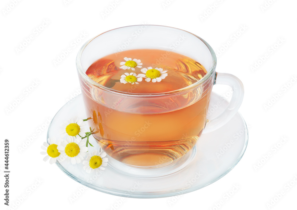 Chamomile, chamomile tea, isolated on a white background Chamomile, chamomile tea, isolated on a white background