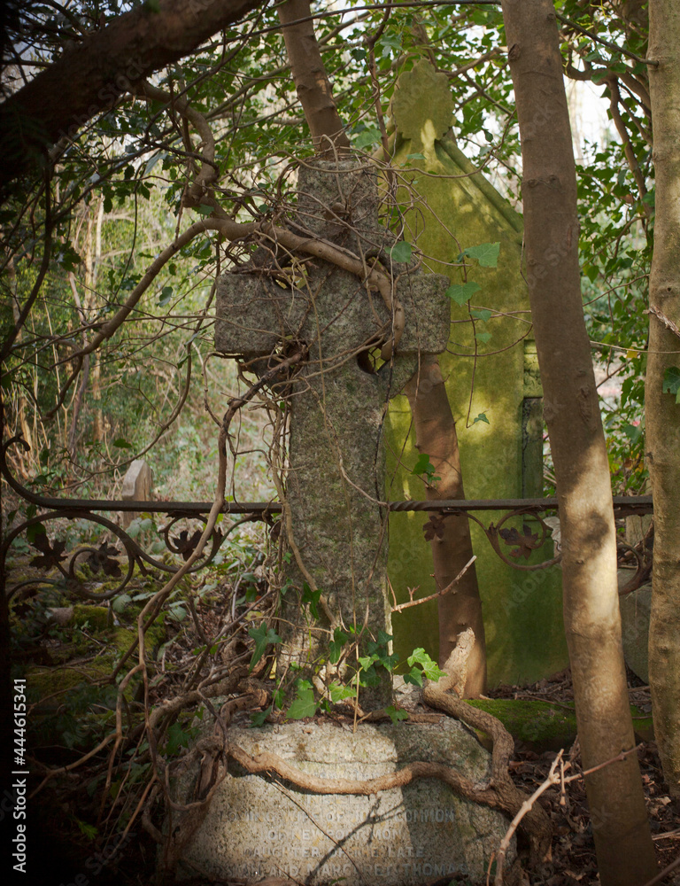 Obraz premium Gothic cemetery