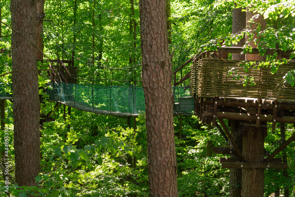 Rope footbridges located in the forest a high altitude among the lush foliage of trees. Entertainment in nature. Rope footbridges located in the forest a high altitude among the lush foliage of trees. Entertainment in nature.