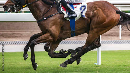 Canvastavla Horse racing themed photograph. Horses running on the race track.