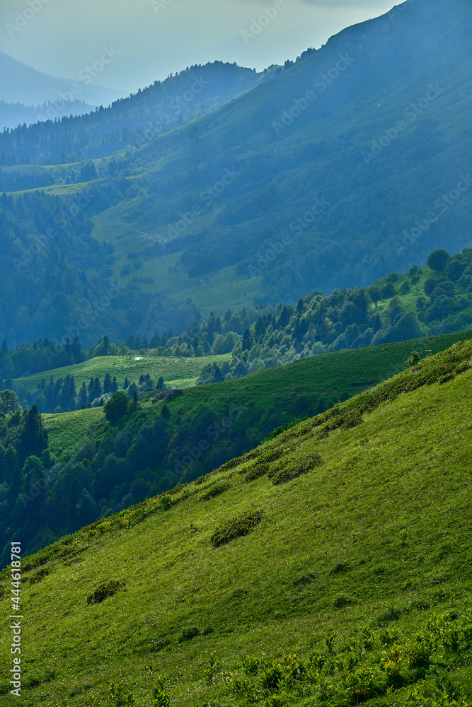 Fototapeta premium Landscape