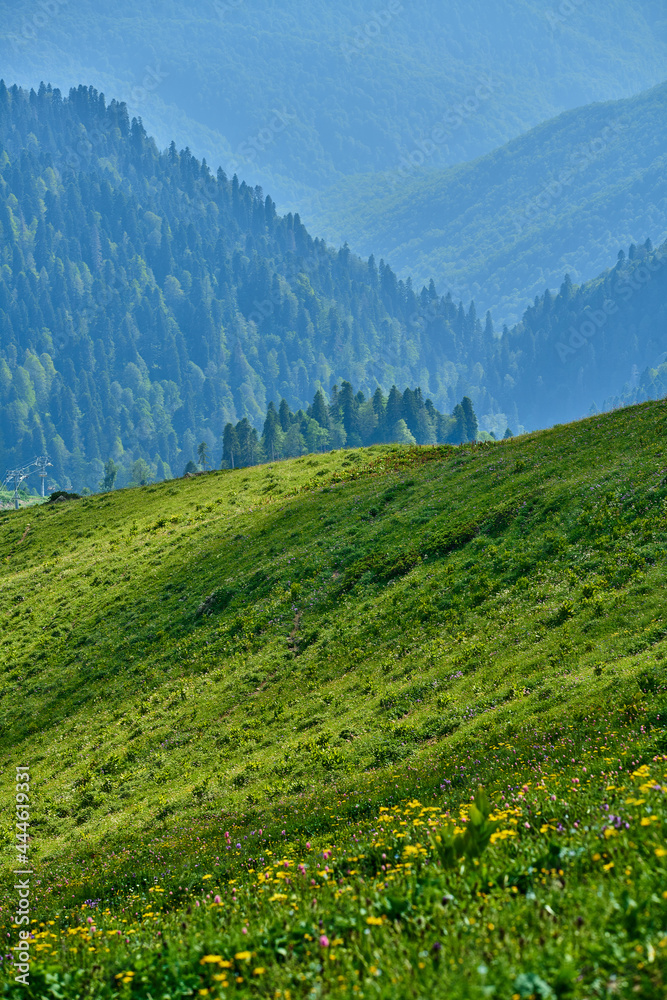 Obraz premium Landscape