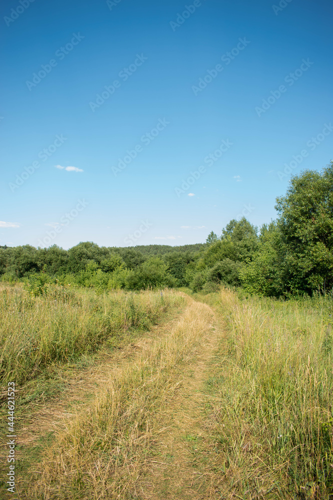 path in the field