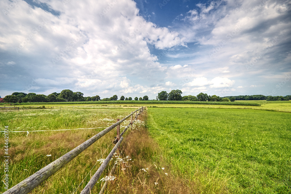 scenic view of fence in the fields