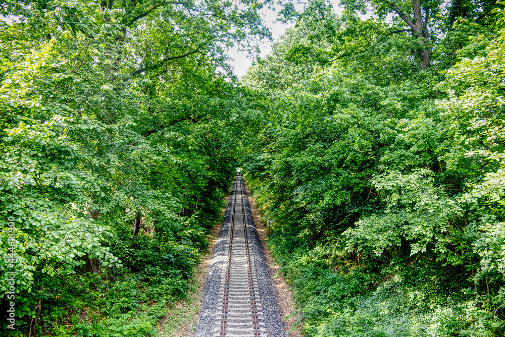 scenic view of a railway through the trees scenic view of a railway through the trees
