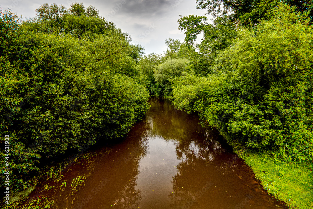 oste river amidst green trees oste river amidst green trees