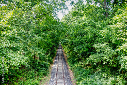 scenic view of a railway through the trees
