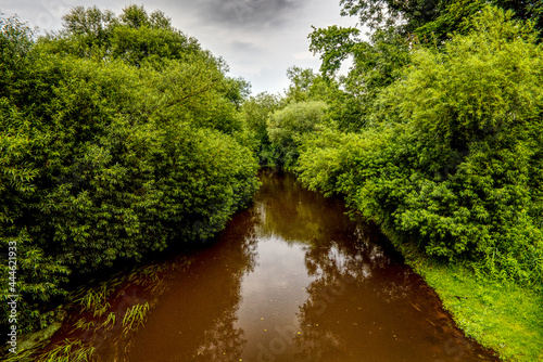 oste river amidst green trees