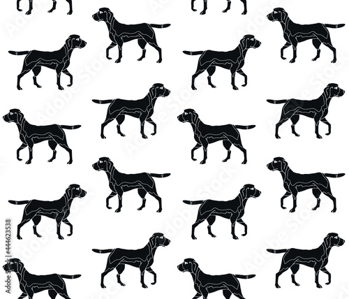 Vector seamless pattern of hand drawn doodle sketch black beagle dog isolated on white background