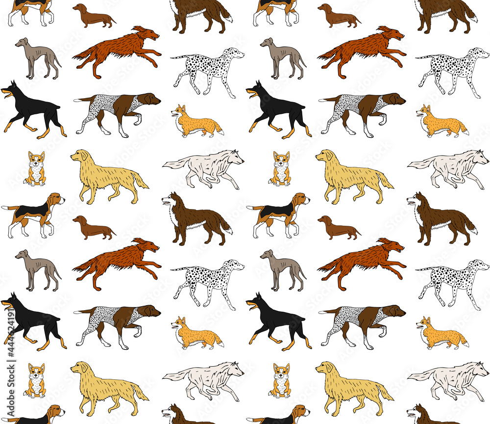 Fototapeta premium Vector seamless pattern of hand drawn doodle sketch colored dog isolated on white background