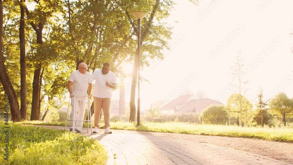 African-American caregiver is teaching disabled old man to walk with walker. Professional nurse and handicapped patient in the park. Assistance, rehabilitation and health care. Golden hour sunset.