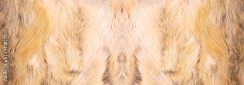 Natural fur texture