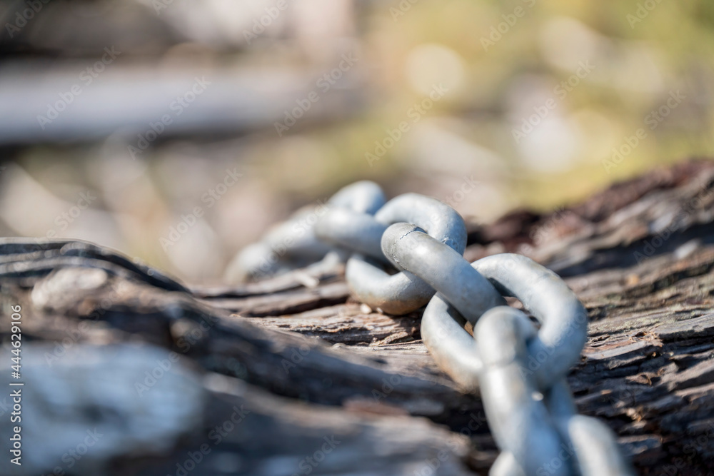 Hot dip galvanized chain laying on a tree trunk at Tacoma, Washington Hot dip galvanized chain laying on a tree trunk at Tacoma, Washington