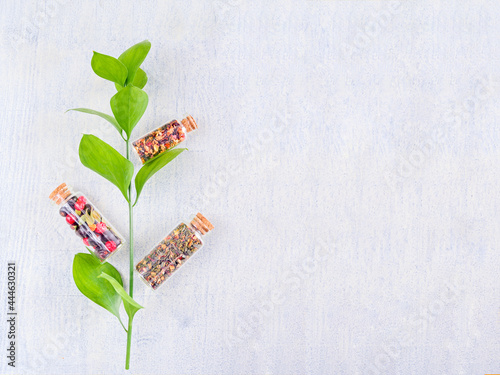 Three bottles of medicinal herbs with a green branch