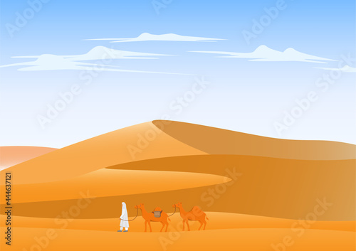 Desert landscape