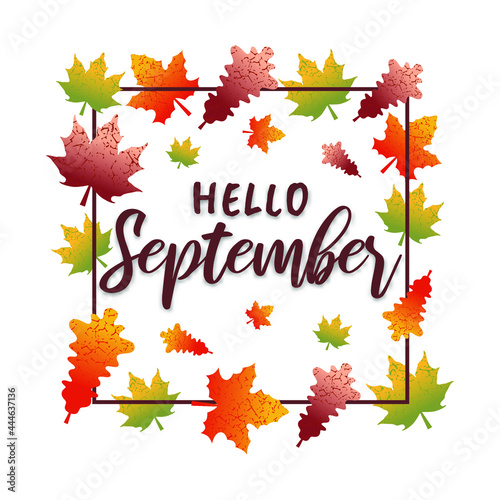 Hand drawn typography lettering phrase Hello September