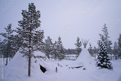 Traditional reindeer-skin tents (lappish yurts) in the Sami Village. The tents and trees are covered with snow. Murmansk, Russia. march 2017. photo