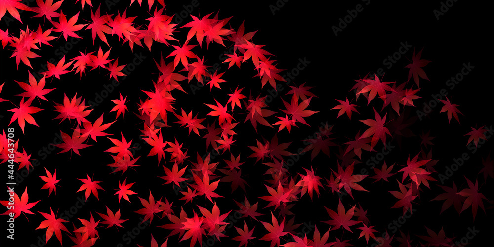 紅葉 もみじ 秋 背景 紅葉 もみじ 秋 背景