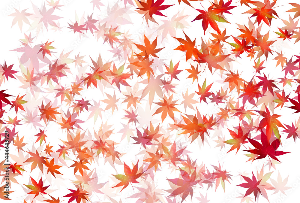 紅葉 もみじ 秋 背景 紅葉 もみじ 秋 背景