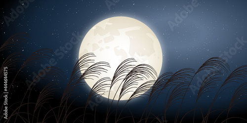 十五夜　月見　ススキ　背景