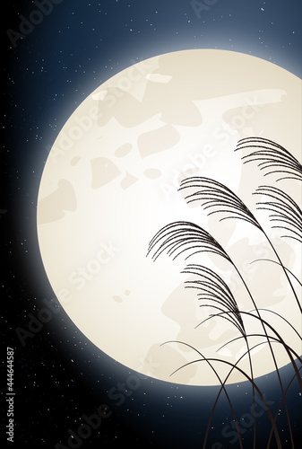 十五夜　月見　ススキ　背景
