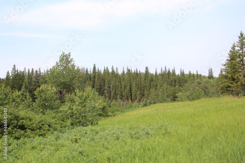 Green On The Hill, Whitemud Park, Edmonton, Alberta