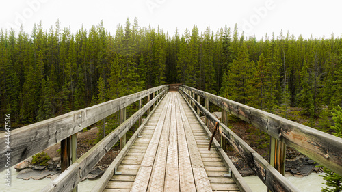 Wood Bridge Forest Nature Canada Rocky Mountains © Mr Rev