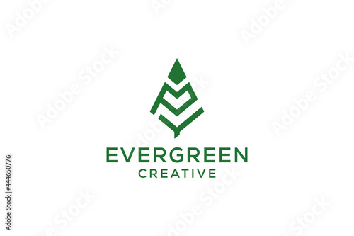 Letter P pine evergreen. fir hemlock spruce conifer cedar coniferous cypress larch pinus tree forest vintage retro hipster line art Logo design