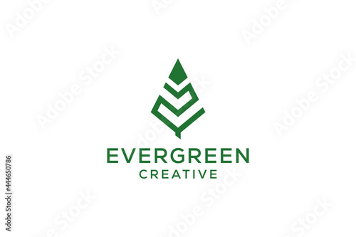 Letter Z pine evergreen. fir hemlock spruce conifer cedar coniferous cypress larch pinus tree forest vintage retro hipster line art Logo design