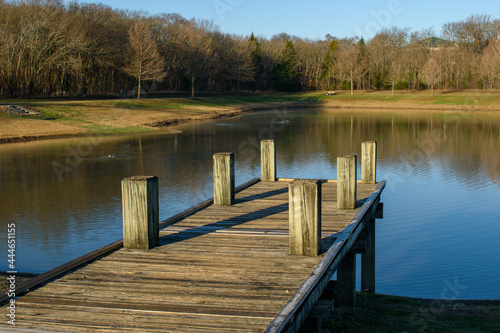 Wooden fishing pier extending into a pond.