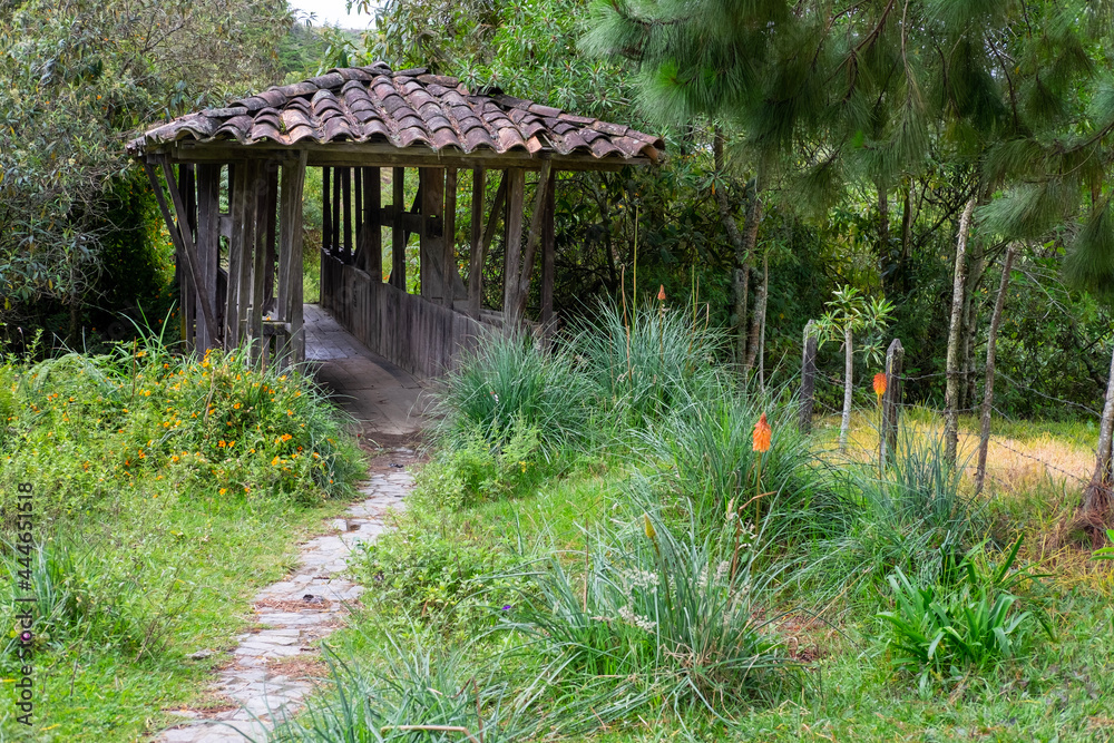 wooden bridge and clay tile roof in the middle of the forest