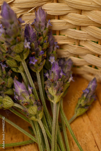 Basket of lavender