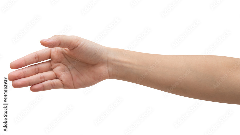Woman hand reach and ready to help or receive. Gesture isolated on white background. Woman hand reach and ready to help or receive. Gesture isolated on white background.