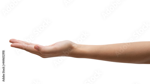 isolated of woman hand holding something like a bottle or can.