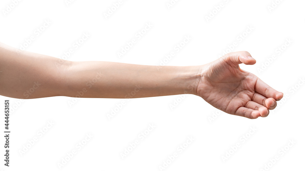 isolated of woman hand holding something like a bottle or can. isolated of woman hand holding something like a bottle or can.
