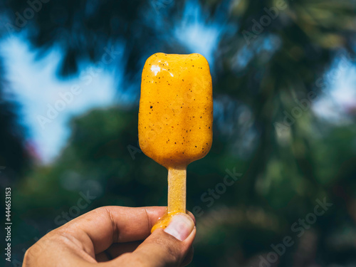 Yellow melt popsicle in hand on green tropical nature background, melting, summertimes with copy space. Female hand holding yellow frozen popsicle ice pop. photo