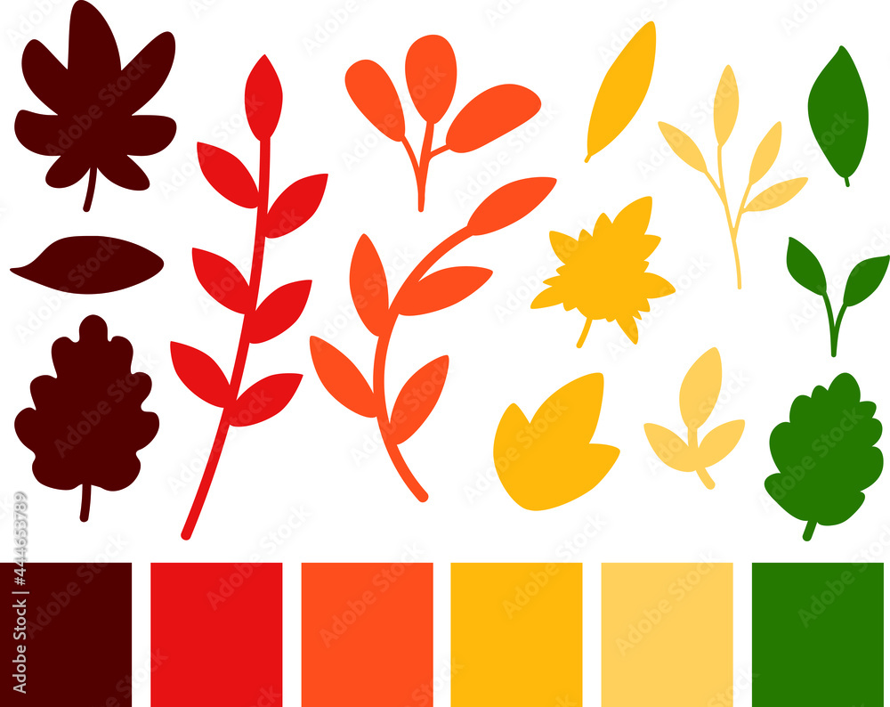 Fall autumn leaves. Collection of one-color hand drawn seasonal plants with autumn color palette, vector design.